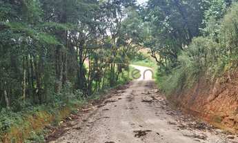 Imagem: ARAUCARIA - PR