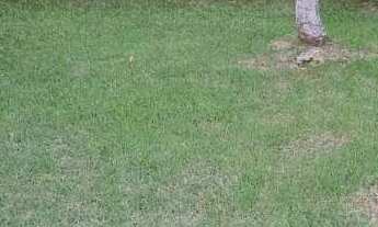 Imagem 5: Casa à venda em Bertioga, Morada da Praia, com 4 quartos, 130m²