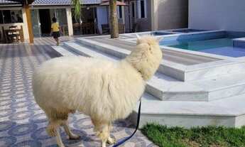 Imagem 5: Casa com 4 quartos, 107m², à venda em Bertioga, Morada da Praia