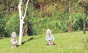 Imagem 4: Casa com 5 quartos, 280m², à venda em Bertioga, Morada da Praia