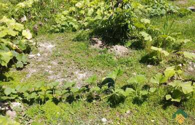 Imagem 3: Terreno, 504m², à venda em Bertioga, Morada da Praia