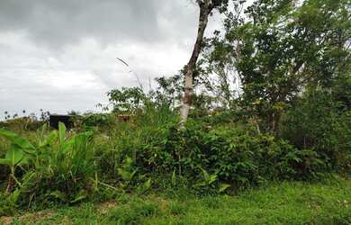 Imagem 2: Terreno, 504m², à venda em Bertioga, Morada da Praia