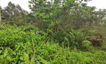Imagem 2: Terreno, 800m², à venda em Bertioga, Morada da Praia