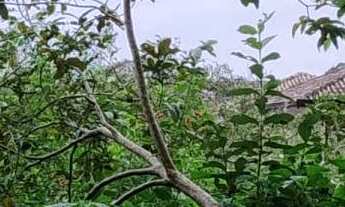 Imagem 2: Terreno à venda em Bertioga, Morada da Praia, 1008m²