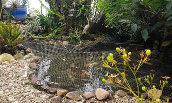 Imagem 2: Casa com 4 quartos, 300m², à venda em Bertioga, Morada da Praia