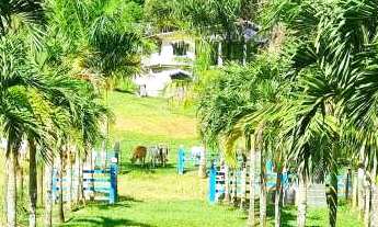 Imagem 2: Fazenda à venda em Macaé, Serra da Cruz, com 4 quartos, 10,0292m²