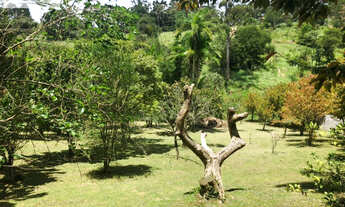 Imagem 2: Chácara para Venda em Embu das Artes / SP no bairro RESSACA