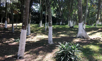 Imagem 7: Chalé para Venda em Embu das Artes / SP no bairro BOSQUE DO EMBU