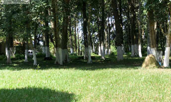 Imagem 3: Chalé para Venda em Embu das Artes / SP no bairro BOSQUE DO EMBU