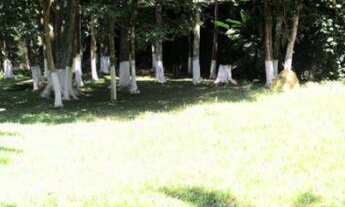 Imagem 5: Chalé para Venda em Embu das Artes / SP no bairro BOSQUE DO EMBU