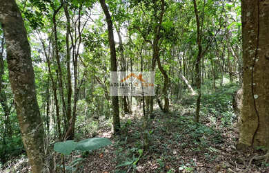 Imagem 7: Terreno para Venda em Embu das Artes / SP no bairro PARQUE DOS CAETÉS