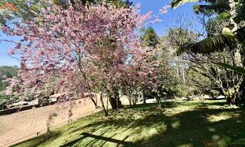 Imagem 5: Chácara à venda em Embu das Artes, Chácaras Lidia, com 5 quartos, 550,00m²