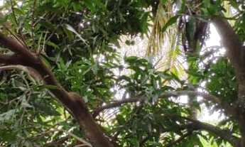 Imagem 6: Casa Duplex com 2 Quartos à Venda no Bairro Jabaraí - Guarapari/ES