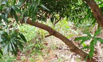 Imagem 7: Casa Duplex com 2 Quartos à Venda no Bairro Jabaraí - Guarapari/ES