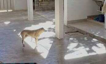 Imagem 4: Casa Linear com 2 Quartos à Venda em Praia de Santa Mônica - Guarapari/ES