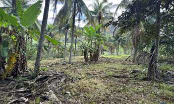 Imagem 5: Chácara com 1100m² à Venda Próximo a Figueira Café em Jaboti - Guarapari/ES