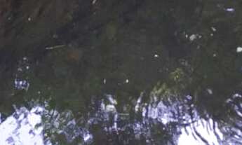 Imagem 2: Terreno com 30.958m², à venda em Buenos Aires - Guarapari/ES