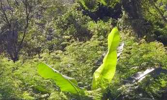 Imagem: Terreno com 30.958m², à venda em Buenos