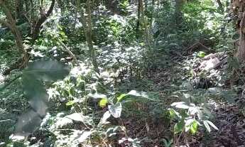 Imagem 3: Terreno com 30.958m², à venda em Buenos Aires - Guarapari/ES