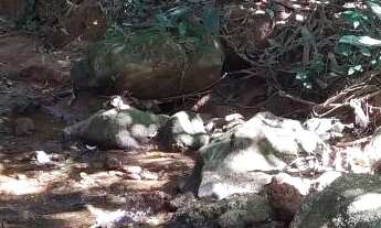 Imagem 4: Terreno com 30.958m², à venda em Buenos Aires - Guarapari/ES