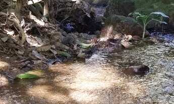 Imagem 7: Terreno com 30.958m², à venda em Buenos Aires - Guarapari/ES