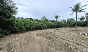 Imagem 6: Sítio com mais de 11.000 m² à Venda Dentro de Guarapari/ES