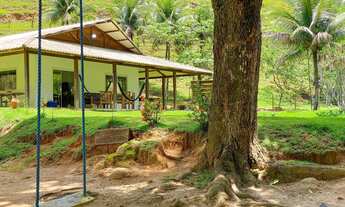 Imagem: Sitio a Venda na Comunidade de Iguape