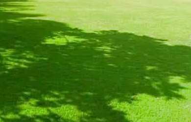 Imagem 6: Chácara para Venda em Goiânia, Chácaras de Recreio São Joaquim