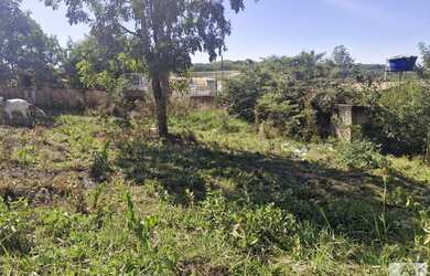 Imagem 2: Lote para Venda em Aparecida de Goiânia, Rosa dos Ventos