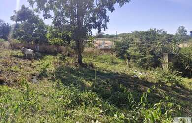 Imagem 5: Lote para Venda em Aparecida de Goiânia, Rosa dos Ventos