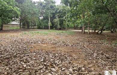 Imagem 4: Lote em Condomínio Fechado para Venda em Senador Canedo, Residencial Villa Verde