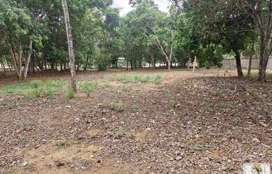 Imagem 7: Lote em Condomínio Fechado para Venda em Senador Canedo, Residencial Villa Verde