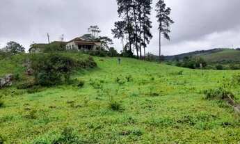 Imagem: Fazenda à venda em Antônio Carlos, 540ha