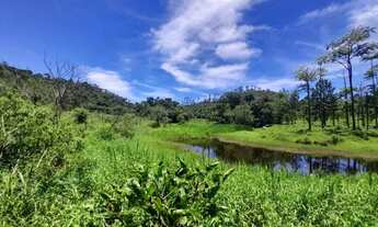 Imagem: Fazenda à venda em Barbacena, Correia de