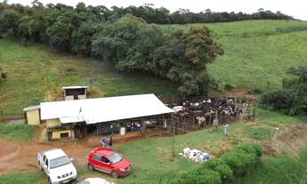 Imagem 2: Fazenda Leiteira Completa e Produtiva com Estrutura de Alta Capacidade - Oportunidade Únic