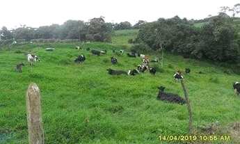 Imagem 7: Fazenda Leiteira Completa e Produtiva com Estrutura de Alta Capacidade - Oportunidade Únic