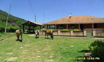 Imagem 4: Fazenda Leiteira Completa e Produtiva com Estrutura de Alta Capacidade - Oportunidade Únic