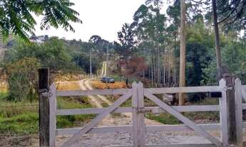 Imagem 5: Ótimo Lote, 2100M² de Área Total na Rua Araceli