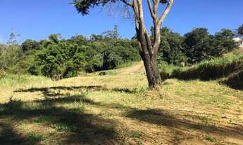 Imagem 3: Ótimo Lote, 2100M² de Área Total na Rua Araceli