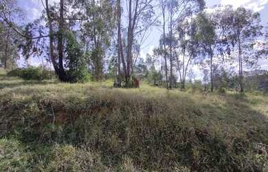 Imagem 3: Construa Sua Casa dos Sonhos neste Lote de 1.000m² nas Quintas da Mantiqueira!
