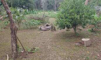 Imagem 2: VENDE-SE CHÁCARA EM FRANCISCO MORATO - SP