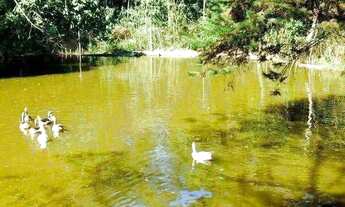 Imagem: VENDE-SE CHÁCARA EM FRANCISCO MORATO