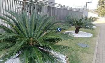 Imagem 6: Studio - VENDA 23 m², Varanda, MOBILIADO - Lazer Completo, com Piscina na Cobertura - 100m