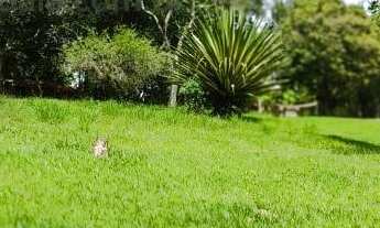 Imagem: Terreno em Condomínio para Venda em Bom