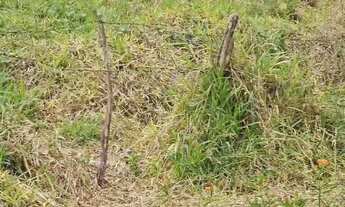 Imagem: Terreno para Venda em Atibaia, Jardim Paulista