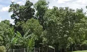 Imagem: Chácara dos Sonhos em Atibaia! Viva momentos