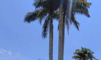 Imagem: Chácara para Venda em Jarinu, zona rural