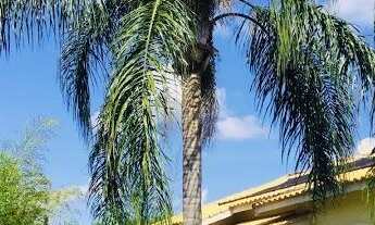 Imagem: Chacara à Venda no Morumbi, Terreno 1.540,00m²