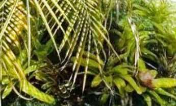 Imagem 3: Sobrado com 3 suítes e piscina Atibaia/SP