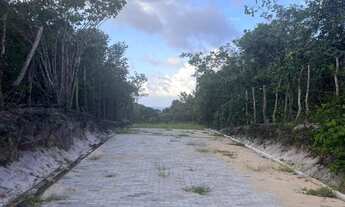 Imagem: Terreno para Venda em Tibau do Sul, Pipa